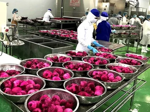 Không phải linh kiện điện tử, BVSC chỉ ra nhóm ngành sẽ trở thành điểm sáng của xuất khẩu Việt Nam năm 2023