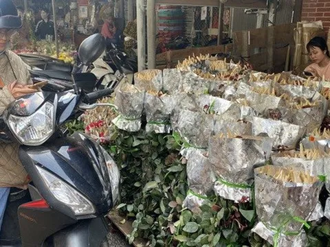 Bất ngờ với nguồn hoa hồng dịp lễ 8-3