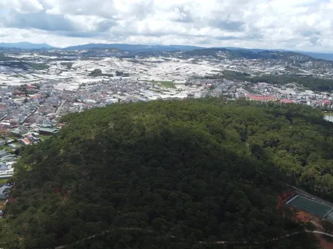 Chưa xem xét đề nghị thuê rừng làm du lịch của 3 doanh nghiệp