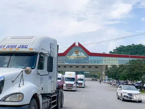 Trung Quốc chậm phê duyệt hồ sơ xuất khẩu, đâu là hướng giải quyết?