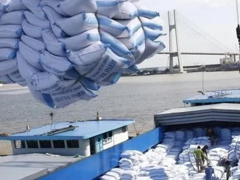 Giá gạo xuất khẩu 2 tháng đầu năm tăng 9,8% so với cùng kỳ