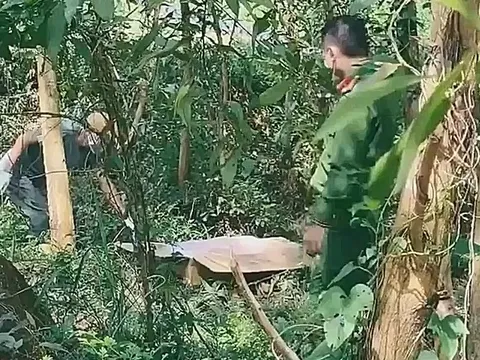 Clip: Công an mở thùng carton, phát hiện sự thật ngỡ ngàng ở Quảng Nam