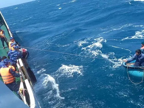 CLIP: Cận cảnh giải cứu thuyền viên gặp nạn trên biển