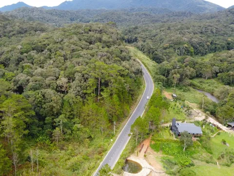 Lâm Đồng từ chối nghiên cứu quy hoạch dự án Dragon Hill Park 11ha trên đất rừng