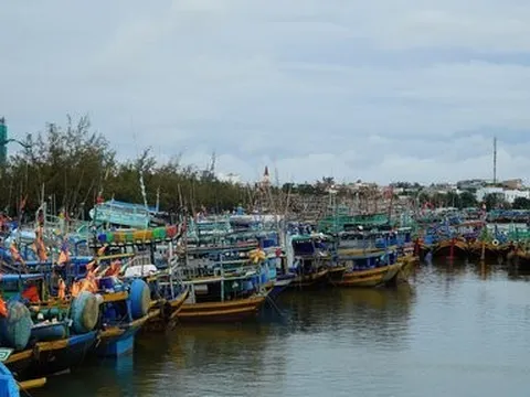 Hai sà lan bị chìm trên vùng biển Phú Quý - Bình Thuận, 4 người mất tích