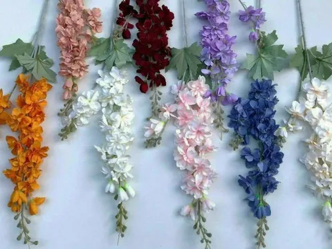 Loại hoa nhập khẩu gây 'sốt' có độc, một thời được dùng làm thuốc trừ sâu