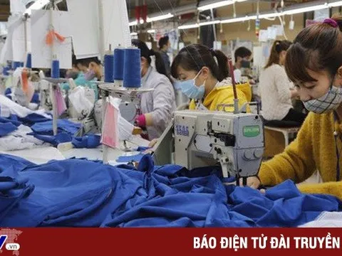 Hơn 58.000 doanh nghiệp TP Hồ Chí Minh nợ bảo hiểm xã hội