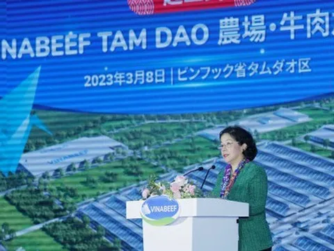 "Giấc mơ thịt bò Việt" của Vinamilk: Nuôi bò công nghệ Nhật ở Tam Đảo, quản lý từ "gia phả bò" đến khâu phân phối, có thể quét QR Code truy xuất nguồn gốc