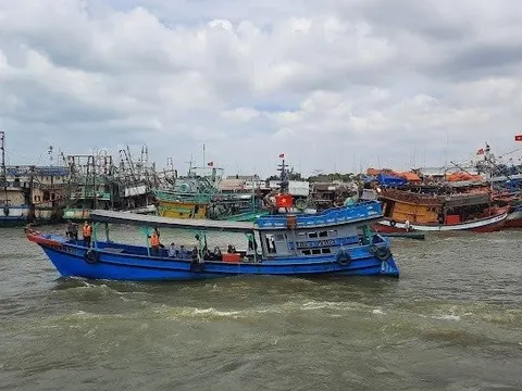 Bà Rịa-Vũng Tàu lập 3 chốt kiếm soát ở cửa biển, chống khai thác IUU