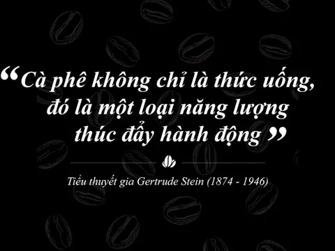 Cà phê Việt Nam đang ở đâu trên tầm nhìn 20 tỷ USD?