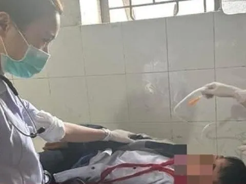 Hà Tĩnh: 11 học sinh nhập viện sau khi ăn phải quả ngô đồng