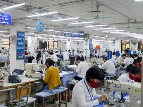 Rút BHXH 1 lần giải quyết nhu cầu trước mắt, người lao động gặp khó khăn khi về già