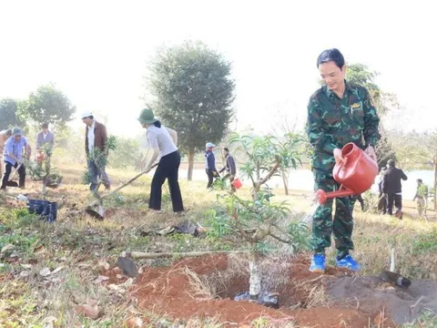 Đắk Lắk: Phát động trồng 500 gốc hoa đào để gợi mở hướng đi mới cho người dân