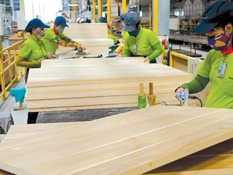 Bình Định chấp thuận nhà đầu tư dự án sản xuất gỗ gần 1.000 tỷ đồng