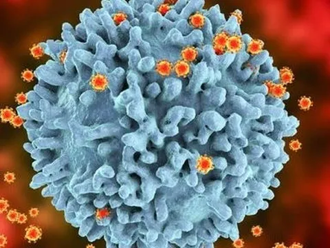 Nhiều dịch bệnh truyền nhiễm nguy hiểm đe dọa bùng phát, diễn biến khó lường