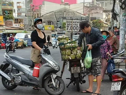Vì sao dừa tươi rẻ bèo giữa mùa nắng nóng gay gắt?
