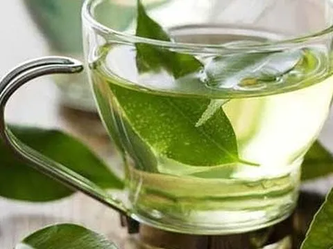 Những người không nên uống nước vối