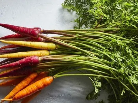 Mầm, lá các loại rau củ trước bỏ đi nay thành đặc sản đắt đỏ