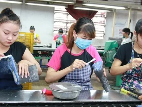 Đề xuất 2 phương án đóng bảo hiểm xã hội trong doanh nghiệp