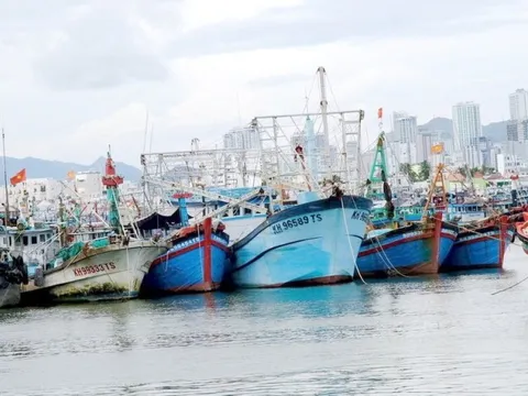 Khánh Hòa đẩy mạnh chống khai thác thủy sản bất hợp pháp