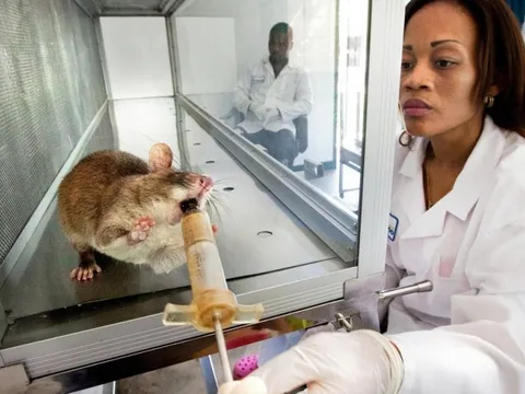 Ung thư có mùi thế nào?