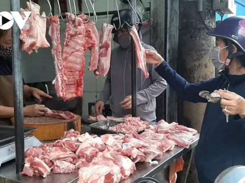 Giá thịt lợn hơi tiếp tục giảm: Nguồn cung tăng, sức mua thấp