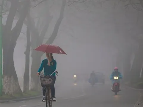 Từ tối nay, miền Bắc chuyển mưa phùn