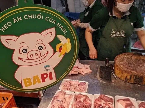 Một ông bầu ngậm ngùi thừa nhận nuôi heo không có lãi - dự báo thị trường còn nhiều khó khăn