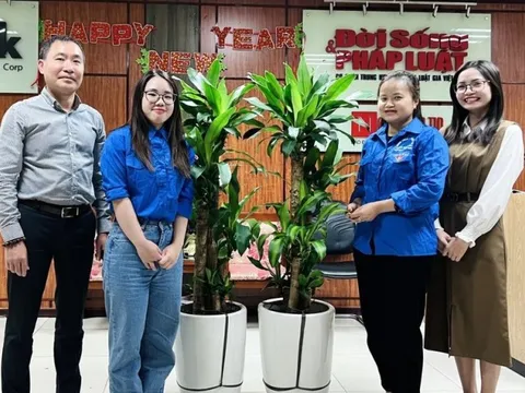 Tuổi trẻ Hội Luật gia Việt Nam hưởng ứng “ngày Chủ nhật xanh”