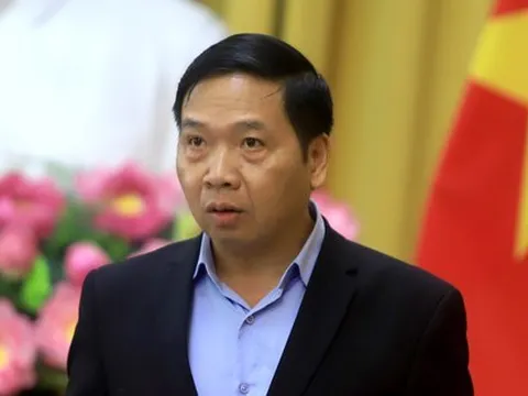 Phạt tối đa 50-100 triệu đồng với hành vi vi phạm trong kiểm toán