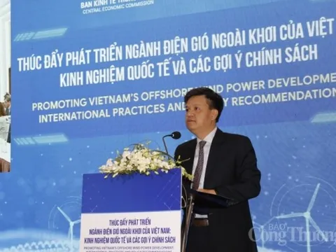 Giải pháp nào cho phát triển ngành điện gió ngoài khơi tại Việt Nam?
