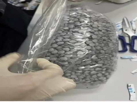 4 tiếp viên hàng không bị tạm giữ do nghi mang chất cấm từ Pháp về Việt Nam