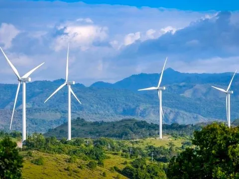 Công ty Đại Dương tự ý chiếm hơn 9ha đất, thu lợi hơn 1,1 tỉ đồng