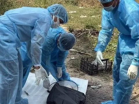 Đồng Nai: Bệnh dại đã lây lan trên địa bàn 3 huyện, thành phố