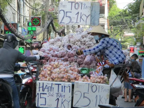 Nông dân Hải Dương trồng hành lãi 270 triệu đồng/ha