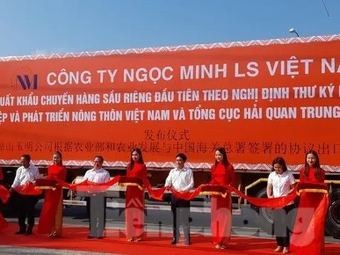 Cần Thơ xuất khẩu 18 tấn sầu riêng chính ngạch đầu tiên sang Trung Quốc