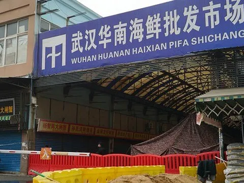 Manh mối mới về nguồn gốc COVID-19 lộ diện ở chợ Vũ Hán