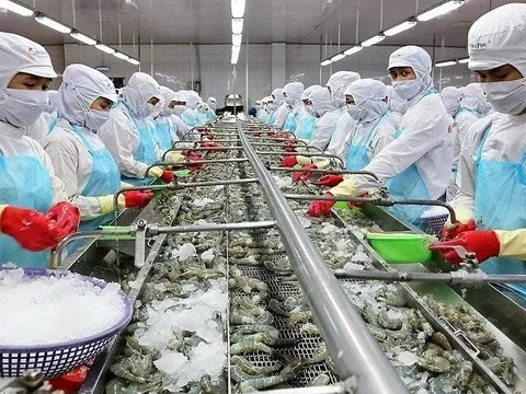 Đề nghị bãi bỏ hạn ngạch đối với tôm Việt Nam nhập khẩu vào Hàn Quốc