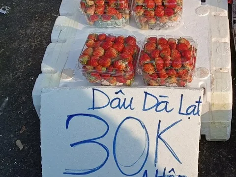 Bà nội trợ TP HCM choáng ngợp với dâu tây gắn mác Đà Lạt, Sơn La tràn ngập đường phố