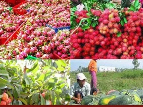 Trung Quốc - Thị trường lớn nhất của nông sản Việt Nam