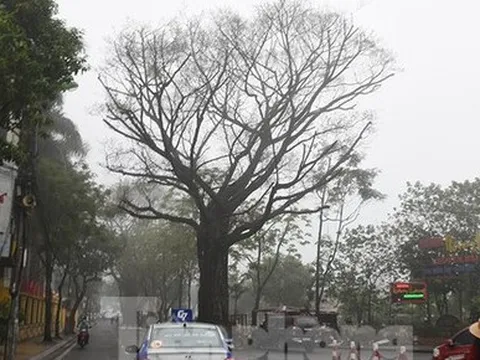 Miền Bắc âm u, sương mù đến bao giờ?