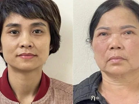 Khởi tố 4 bị can liên quan vụ án ‘thổi giá’ cây xanh ở Hà Nội