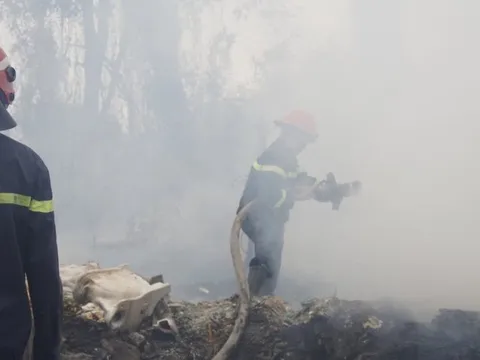 Đồng Nai: Cháy lớn từ rác sinh hoạt người dân đổ trộm