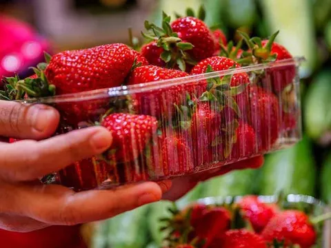 Xôn xao clip rửa dâu tây giá rẻ bằng máy sục, nước nổi váng đục ngầu: Chuyên gia nói gì?