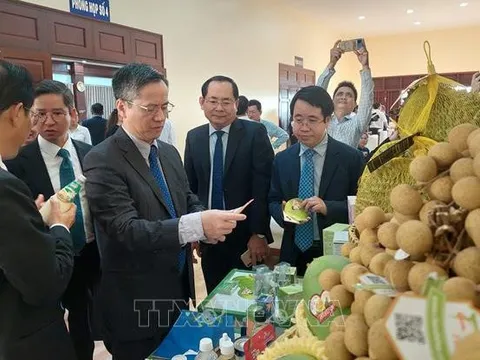 Bến Tre đẩy mạnh xúc tiến đầu tư, thương mại và du lịch