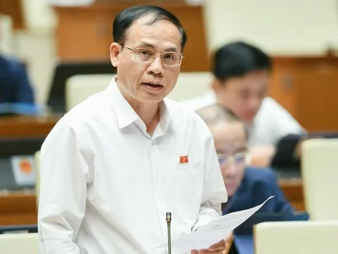 Đề xuất xây dựng tòa án chuyên biệt để xét xử các vụ án phá sản