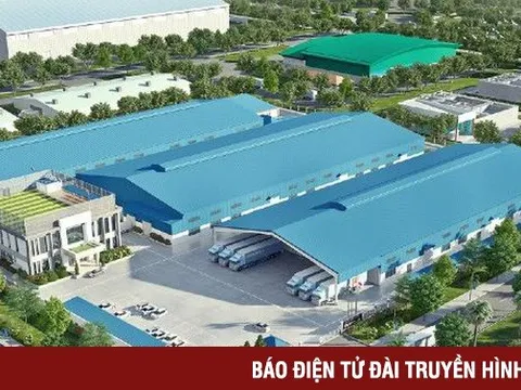 Long An: Tiềm năng phát triển của dự án Khu công nghiệp Đức Hoà III