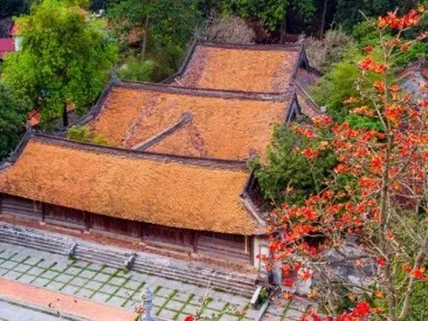 Ngôi chùa nghìn năm tuổi ở Hà Nội nên thơ với sắc đỏ hoa gạo