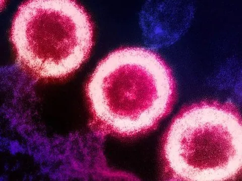 Thông tin thêm về người phụ nữ đầu tiên được ghép tế bào gốc chữa khỏi HIV