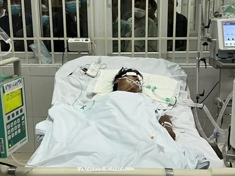 Diễn biến mới nhất vụ ngộ độc cá chép muối ủ chua ở Quảng Nam